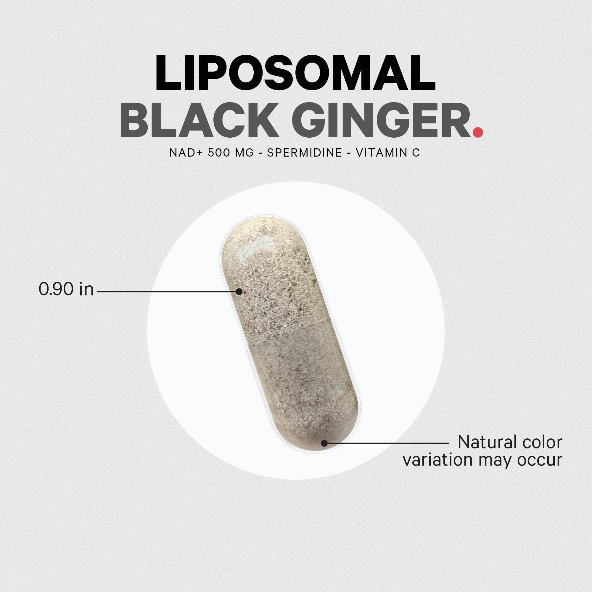 Codeage Liposomal Black Ginger Supplement - Kaempferia Parviflora Root Powder - 3-Month Supply - Ginger Root Pills and Herbal Root - Liposomal Delivery - 1 Capsule Per Serving - Non-GMO - 90 Capsules - Image 8